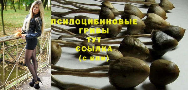 гашик Абаза