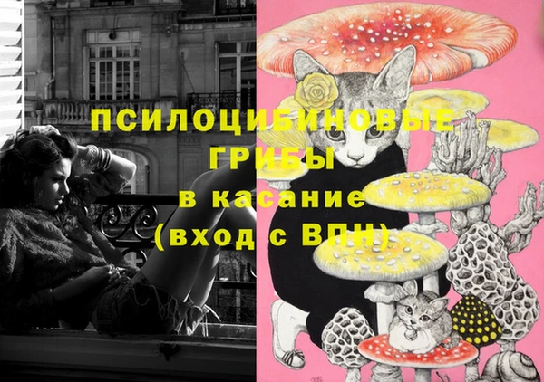jwh Пенза