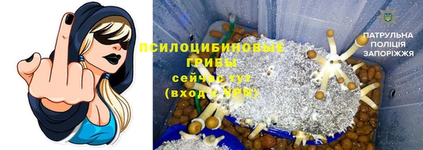 стафф Семикаракорск