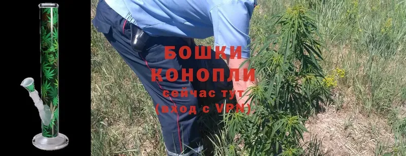 купить наркотик  Армянск  Бошки Шишки MAZAR 